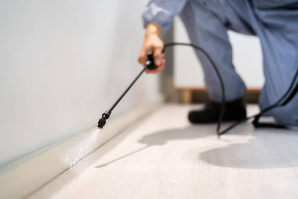 Licensed Termite Control service in Mantua, VA - Nex Pest Control