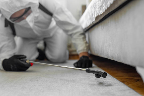 Professional Termite Control technician working in Mantua, VA