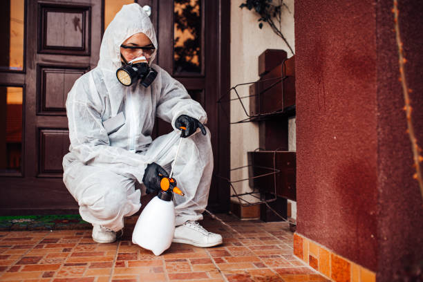 Reliable Termite Control contractor in Mantua, VA by Nex Pest Control
