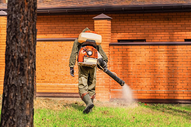 Trusted Rodent Control service in Mantua, VA - Nex Pest Control
